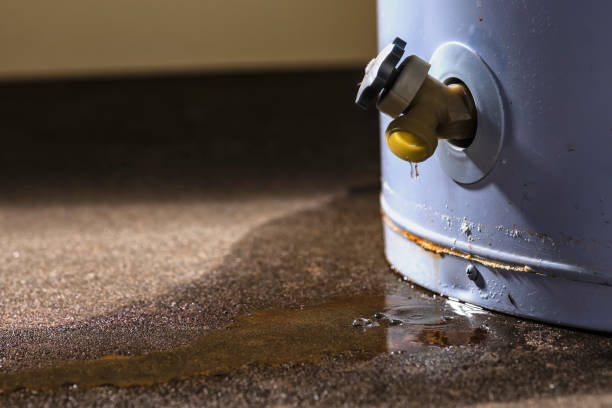 Best Mold removal after water damage  in Hamilton, MO