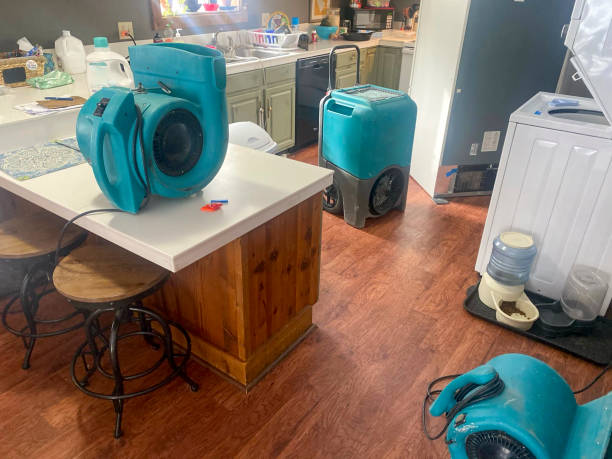 Best Local water damage restoration  in Hamilton, MO