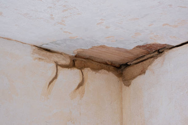 Best Sewage cleanup and water damage restoration  in Hamilton, MO