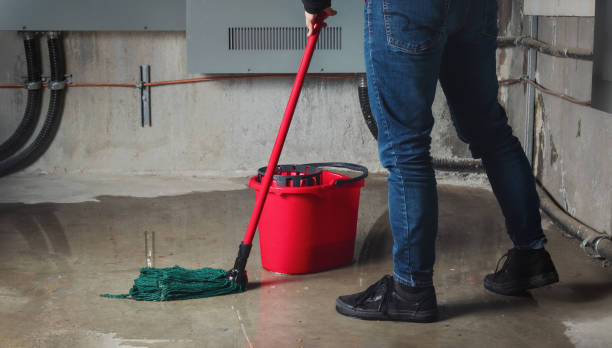 Best Water damage restoration near me  in Hamilton, MO
