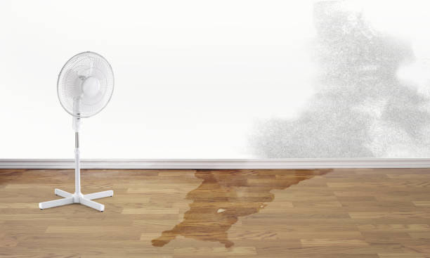 Best Sewage cleanup and water damage restoration  in Hamilton, MO