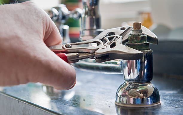 Best Professional water damage repair  in Hamilton, MO