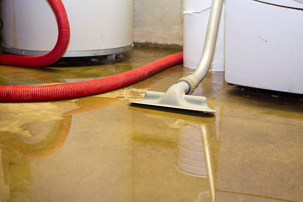 Best Water damage contractors near me  in Hamilton, MO