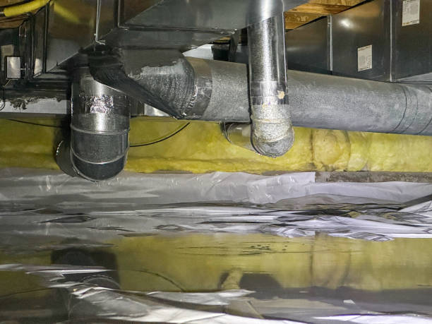 Best Fire Damage Restoration  in Hamilton, MO