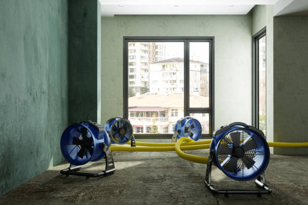 Best Fire Damage Restoration  in Hamilton, MO