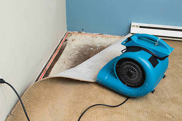 Best Water damage restoration process  in Hamilton, MO